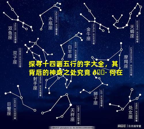 探寻十四画五行的字大全，其背后的神奇之处究竟 🌷 何在